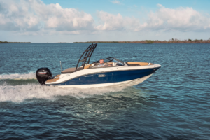 SEA RAY SPX 190 OUTBOARD