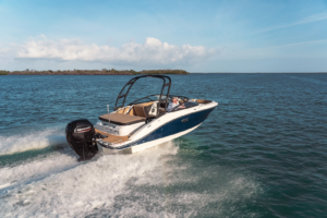SEA RAY SPX 190 OUTBOARD