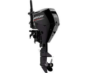 MERCURY F25